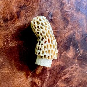Hand Carved Antler Mushroom